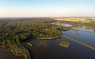 Gmina Rejowiec Fabryczny